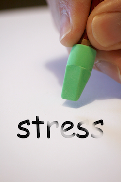 Stress ein Dickmacher